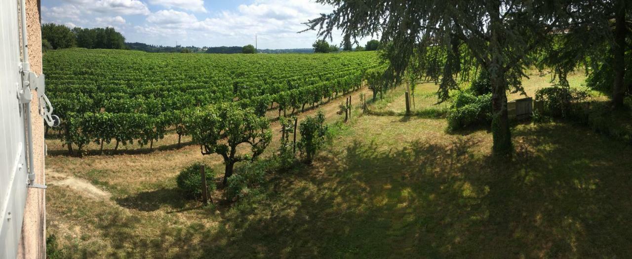 Mirande Montagne-Saint Emilion Lejlighed Montagne  Eksteriør billede